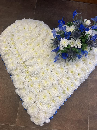 Blue & White Heart Tribute - A classic heart-shaped tribute with a white floral base and elegant blue accents, handcrafted with seasonal flowers to honour a cherished loved one.